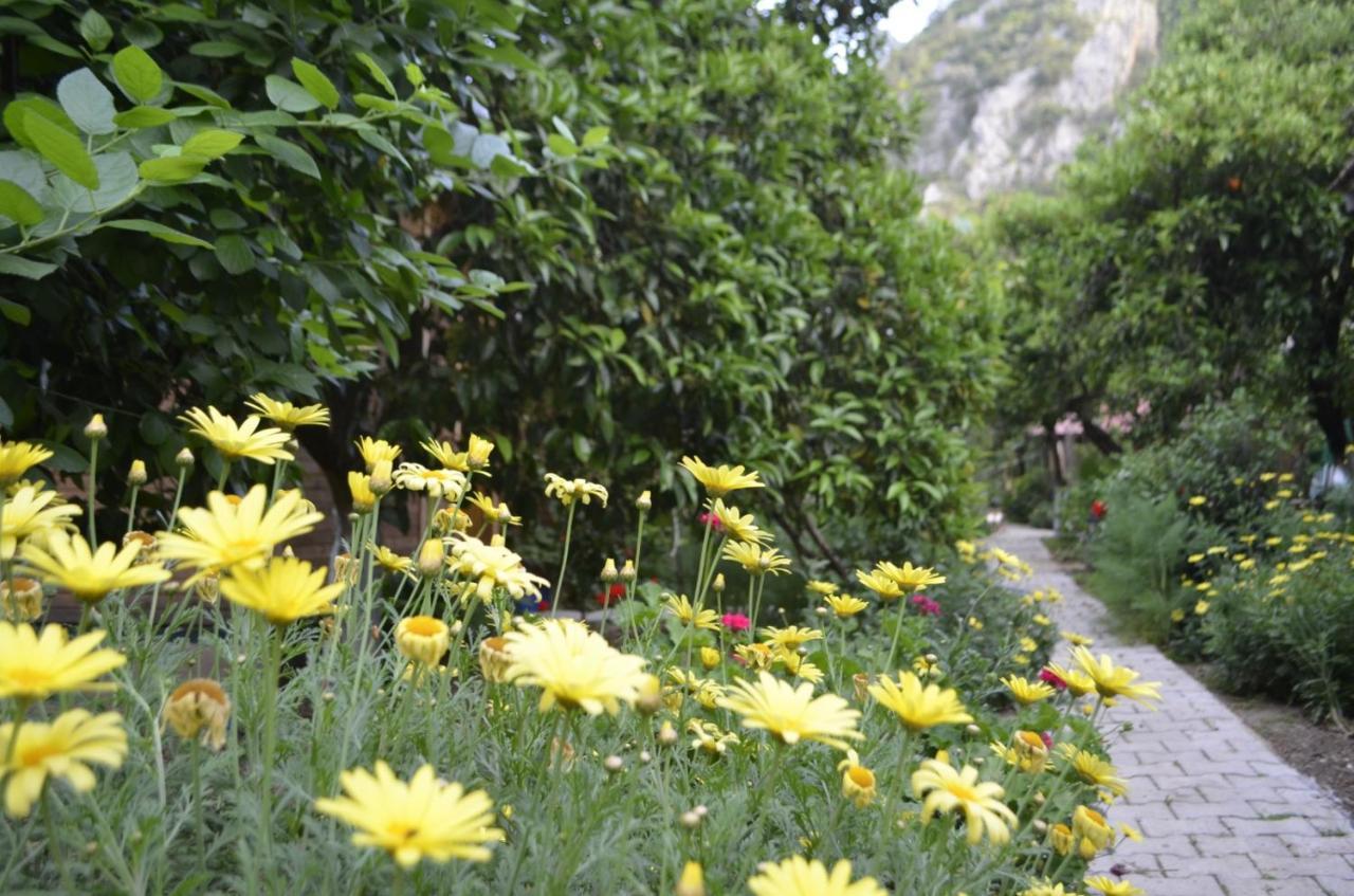 mercan pension Olympos Bagian luar foto