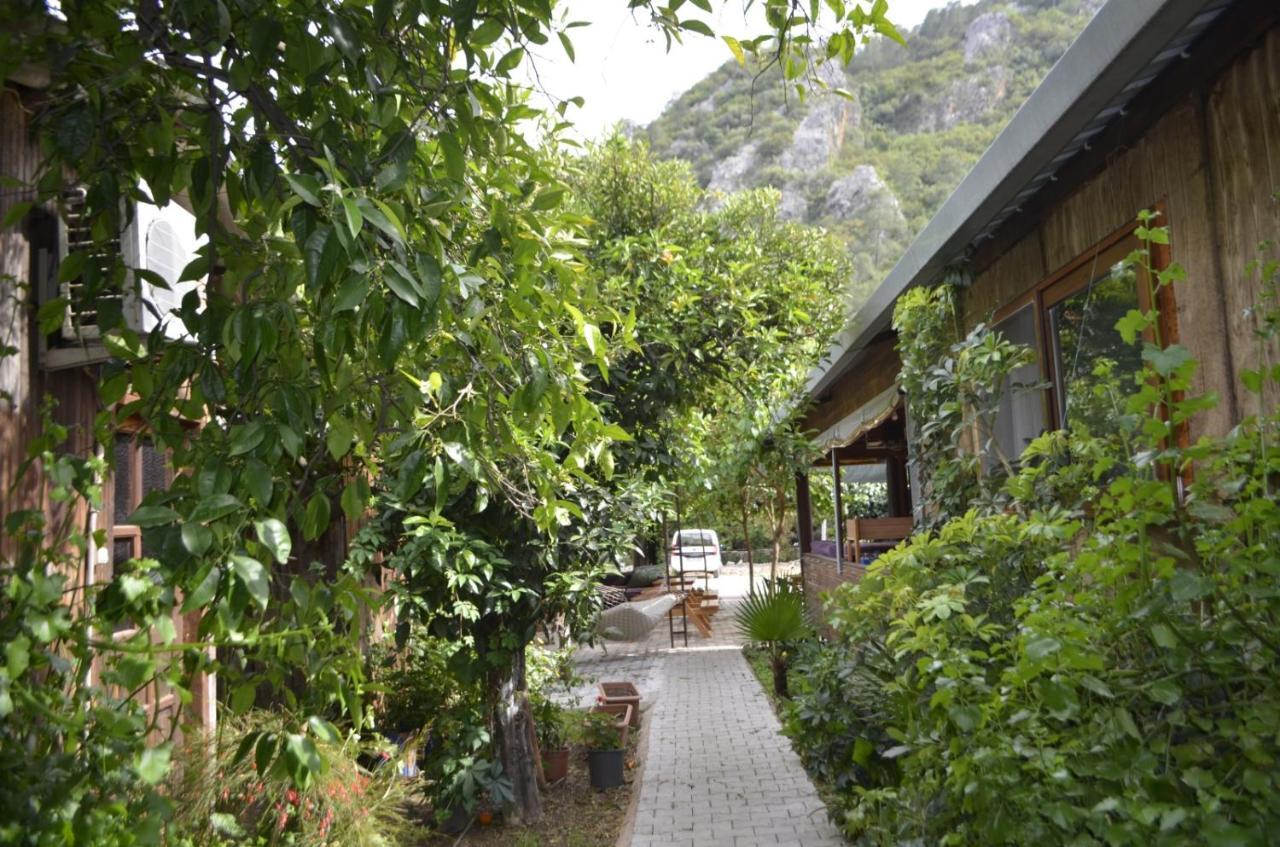mercan pension Olympos Bagian luar foto