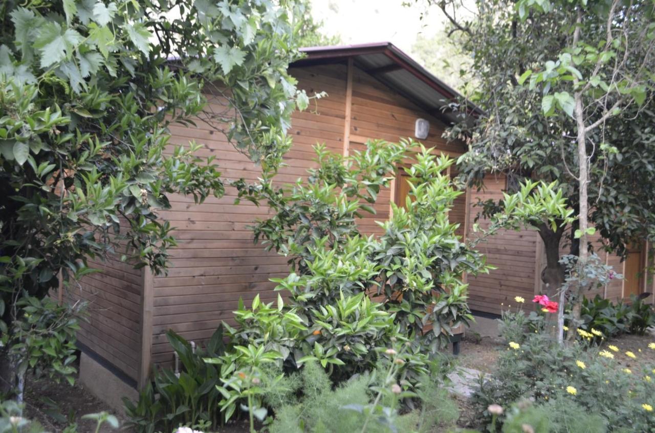 mercan pension Olympos Bagian luar foto