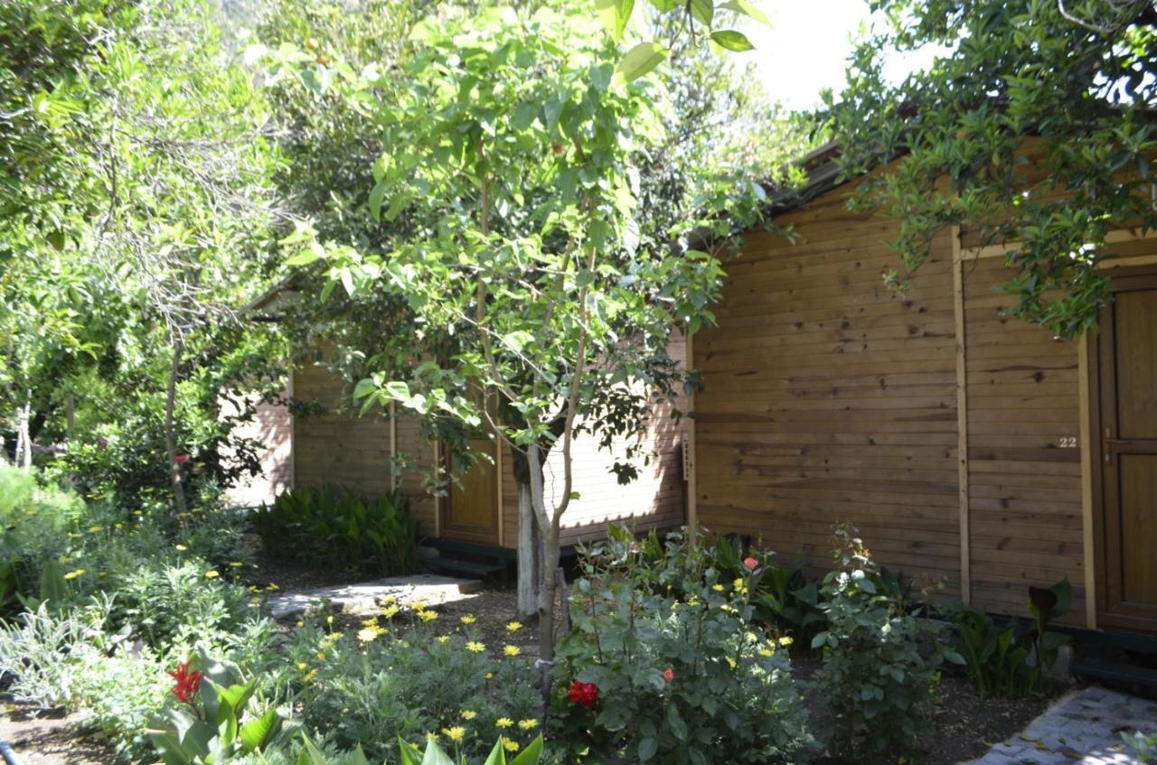 mercan pension Olympos Bagian luar foto