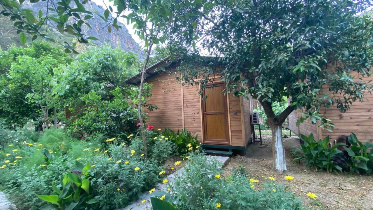 mercan pension Olympos Bagian luar foto