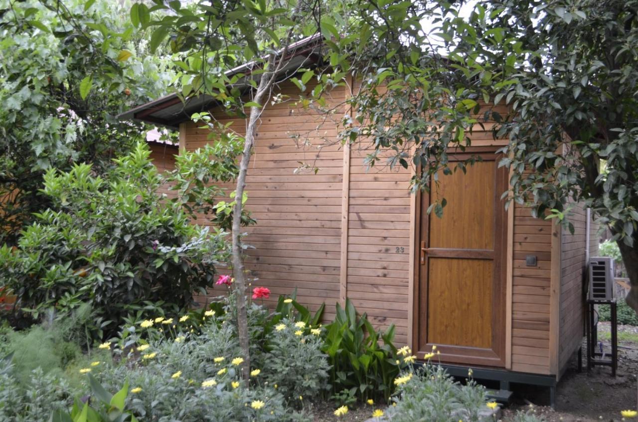 mercan pension Olympos Bagian luar foto