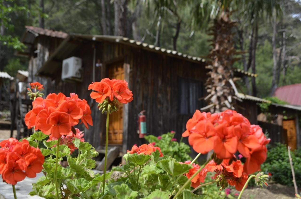 mercan pension Olympos Bagian luar foto
