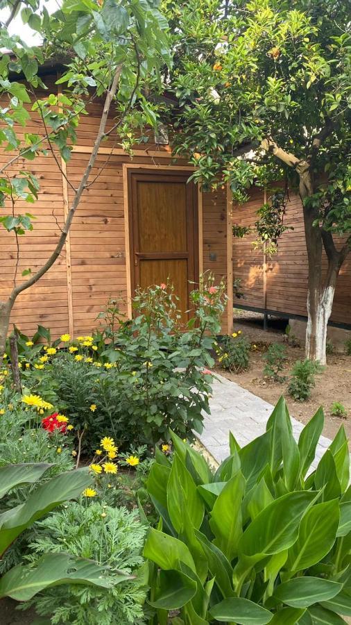 mercan pension Olympos Bagian luar foto