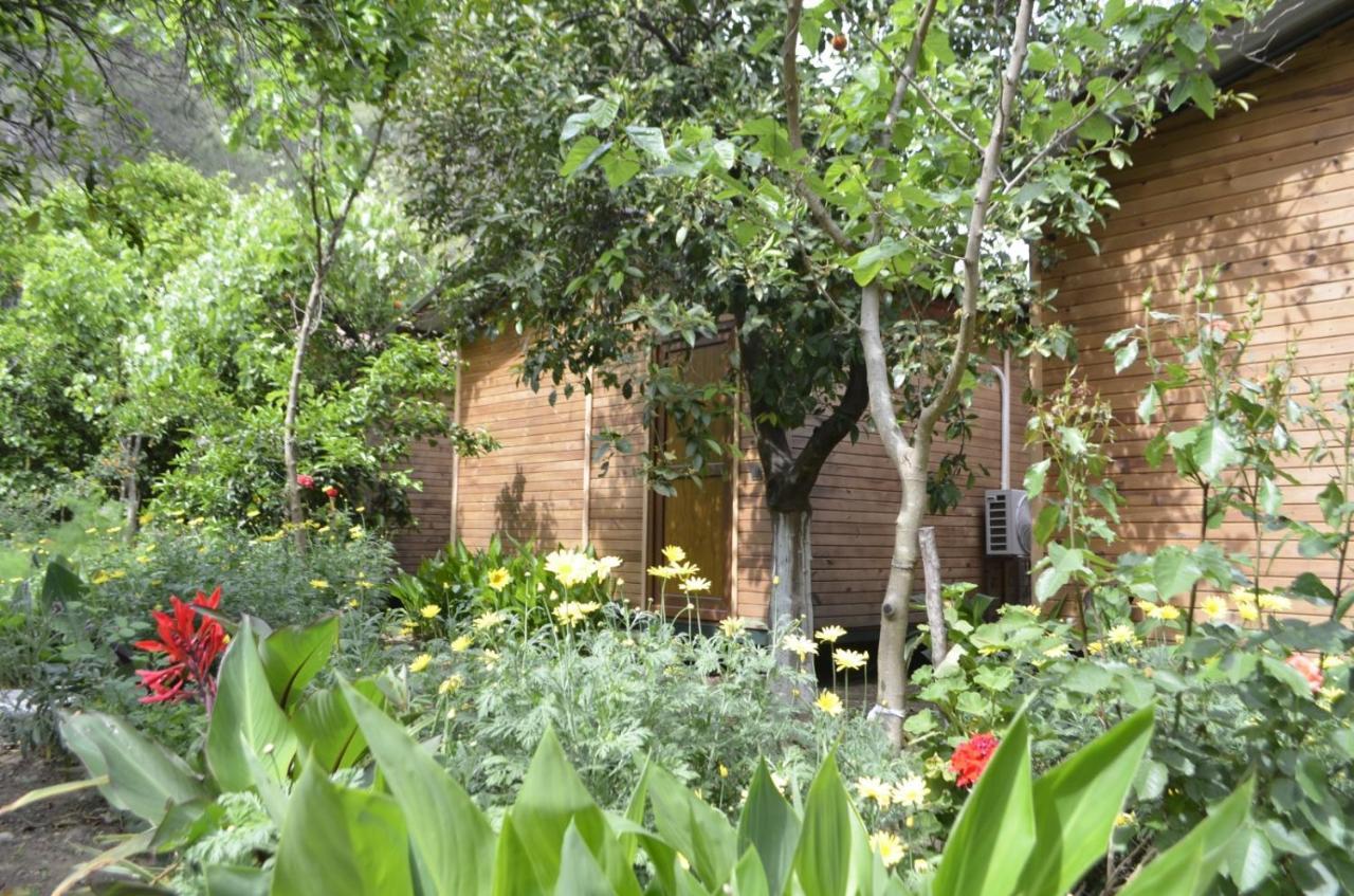 mercan pension Olympos Bagian luar foto