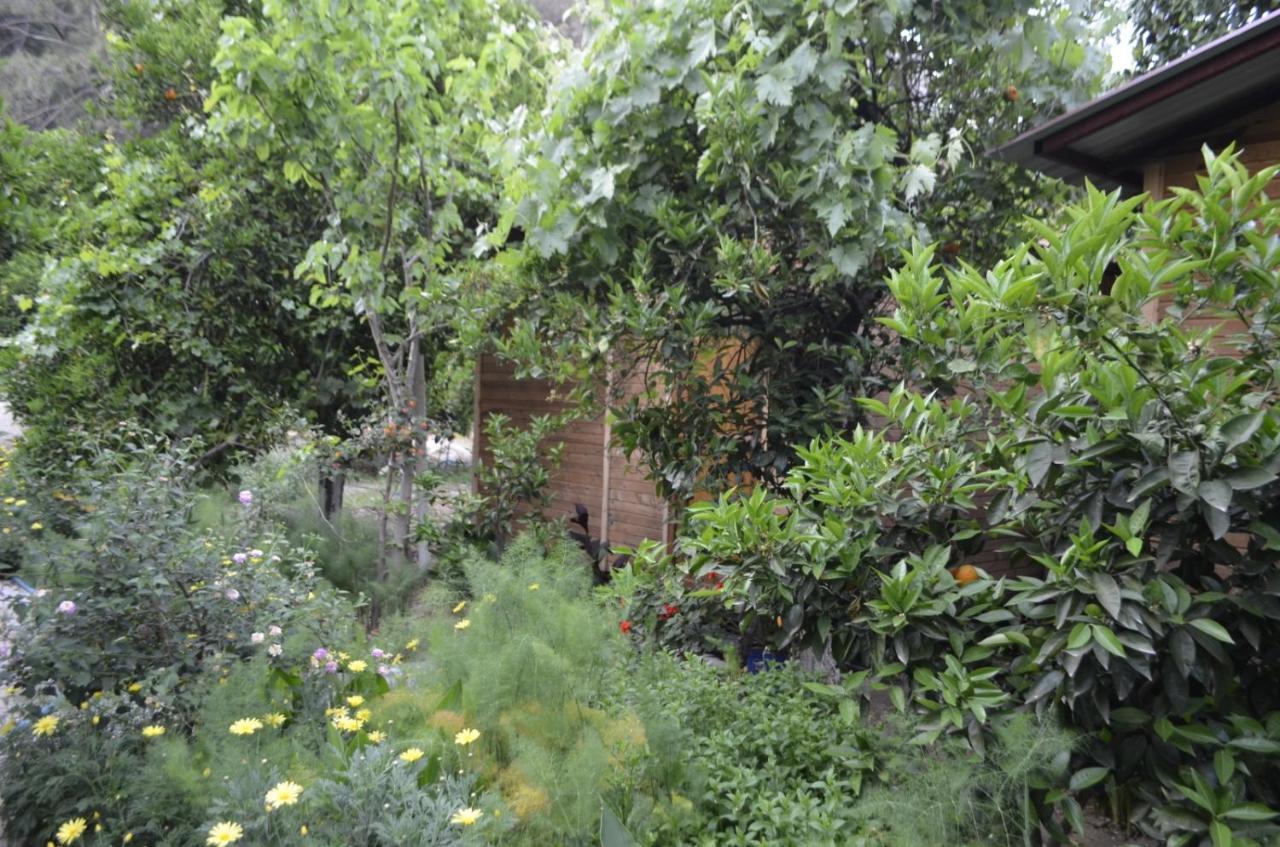 mercan pension Olympos Bagian luar foto