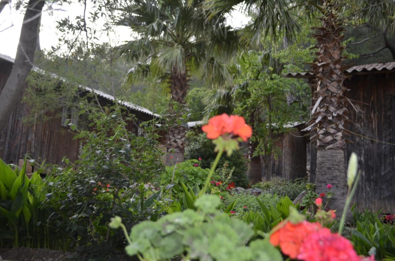 mercan pension Olympos Bagian luar foto