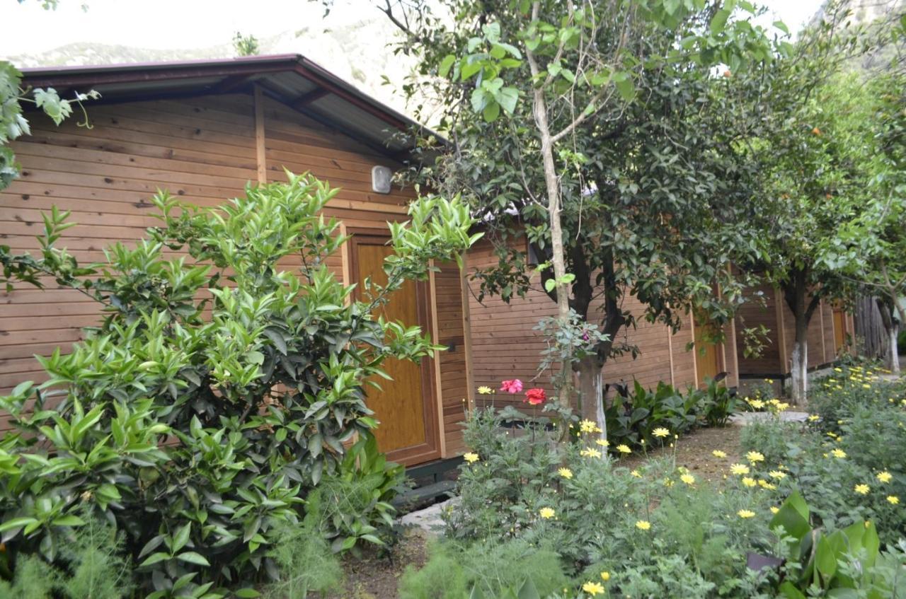 mercan pension Olympos Bagian luar foto