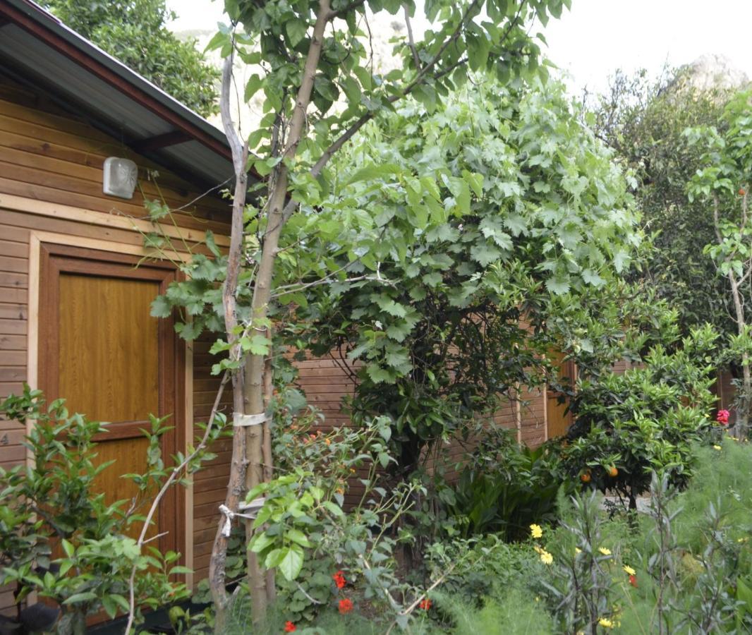mercan pension Olympos Bagian luar foto