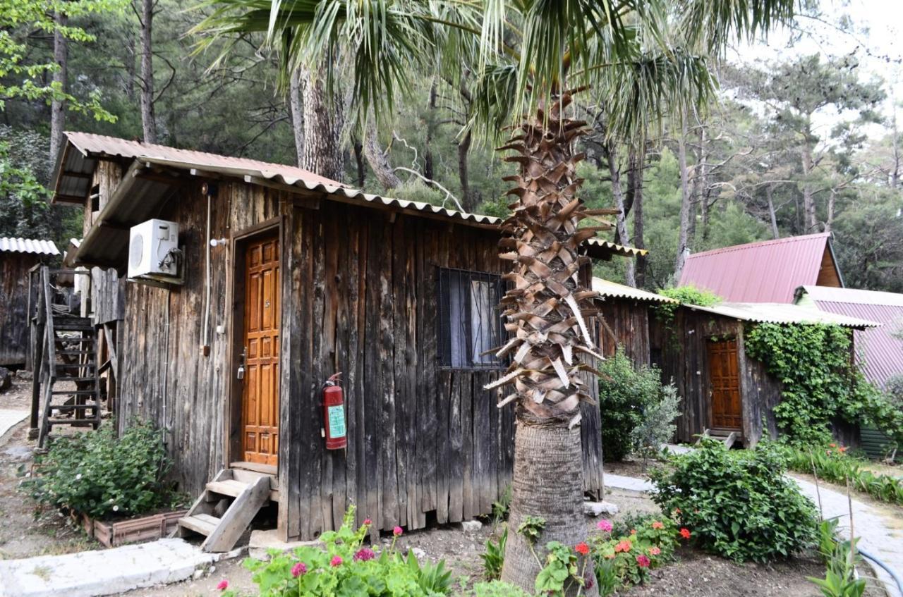 mercan pension Olympos Bagian luar foto