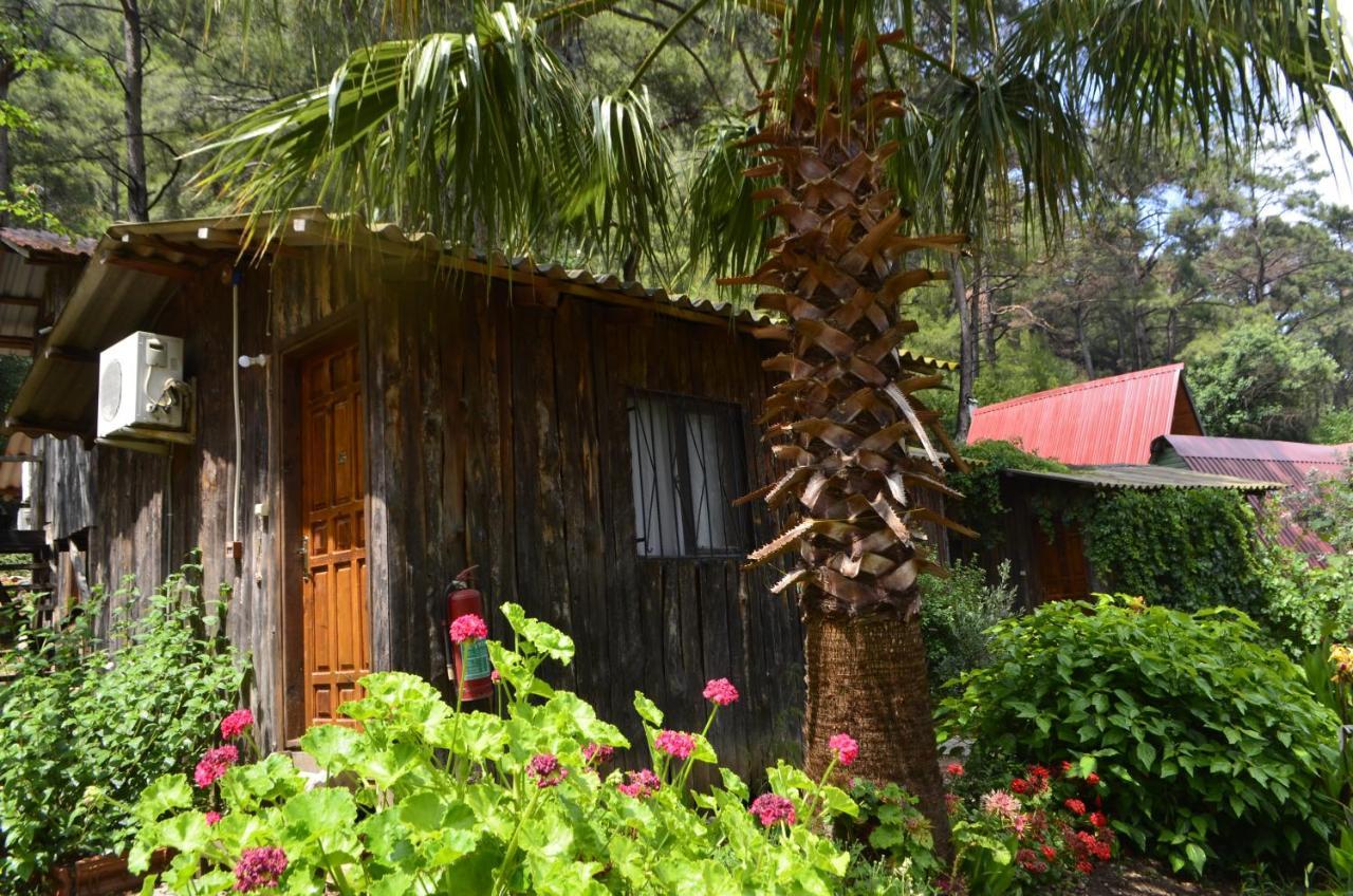 mercan pension Olympos Bagian luar foto