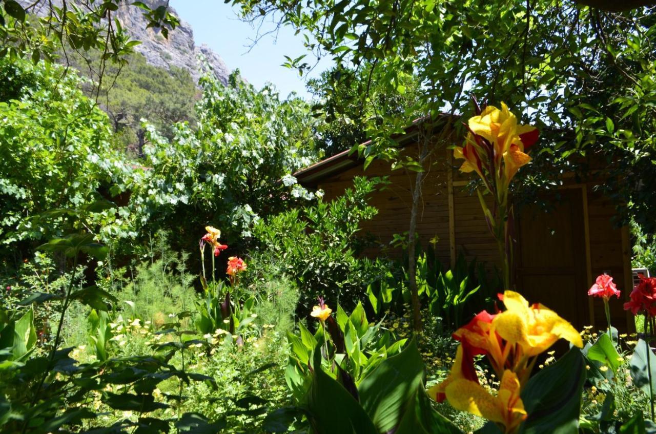 mercan pension Olympos Bagian luar foto