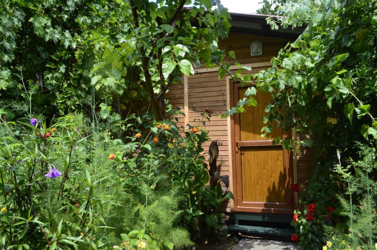 mercan pension Olympos Bagian luar foto