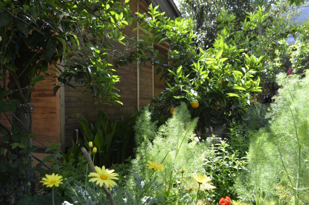 mercan pension Olympos Bagian luar foto