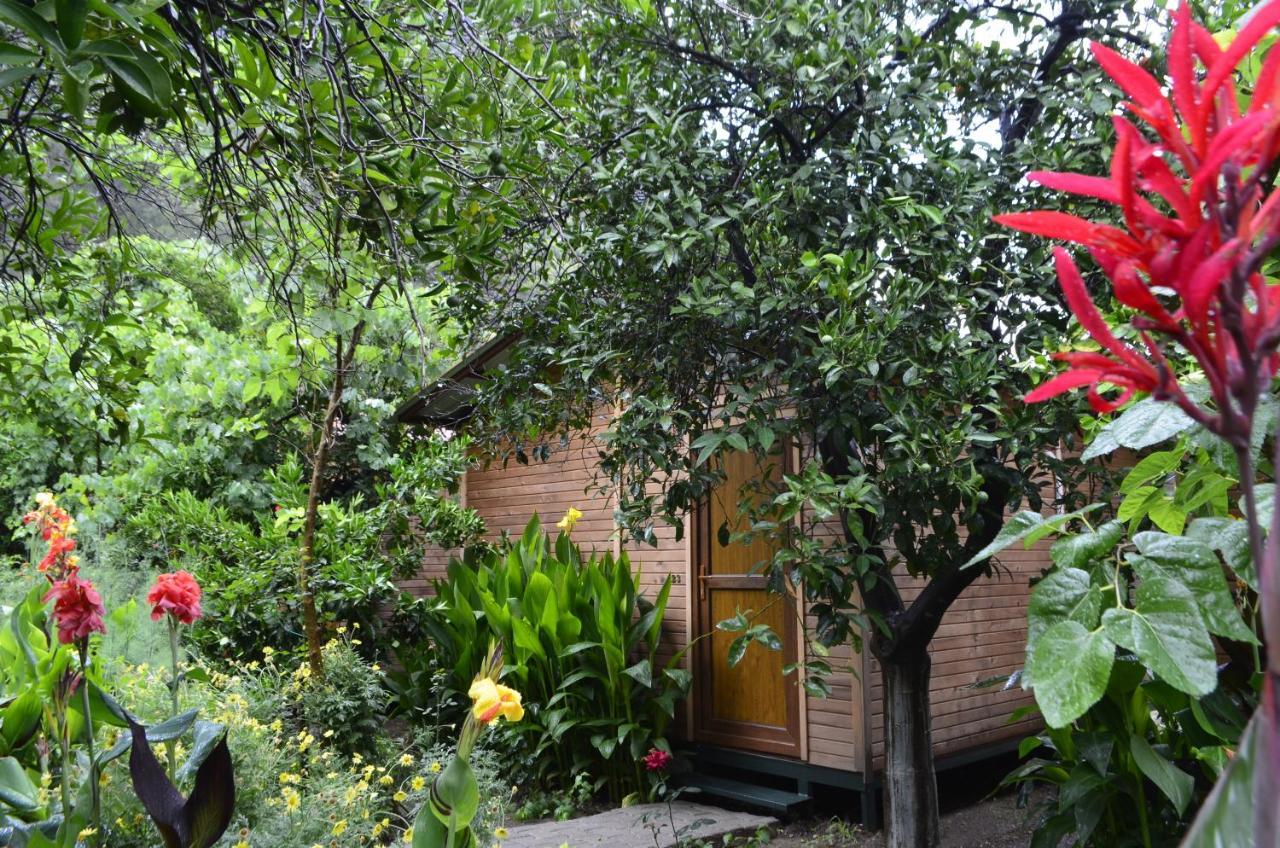 mercan pension Olympos Bagian luar foto