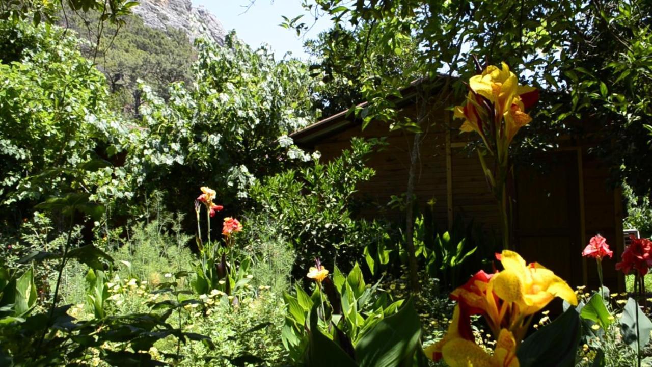 mercan pension Olympos Bagian luar foto