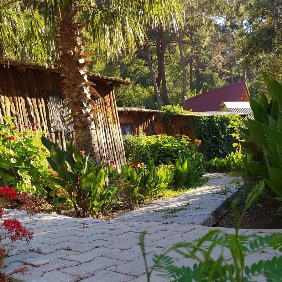 mercan pension Olympos Bagian luar foto