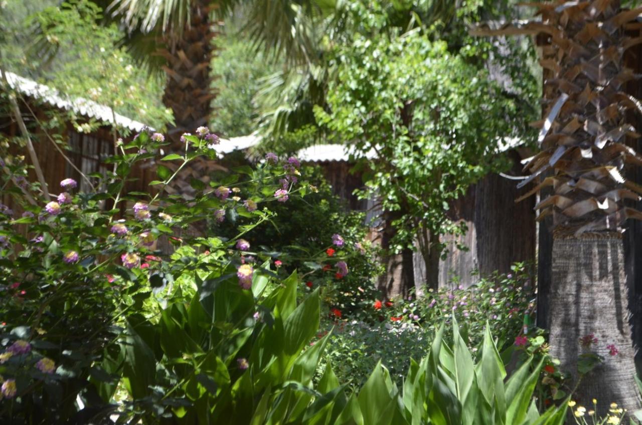 mercan pension Olympos Bagian luar foto
