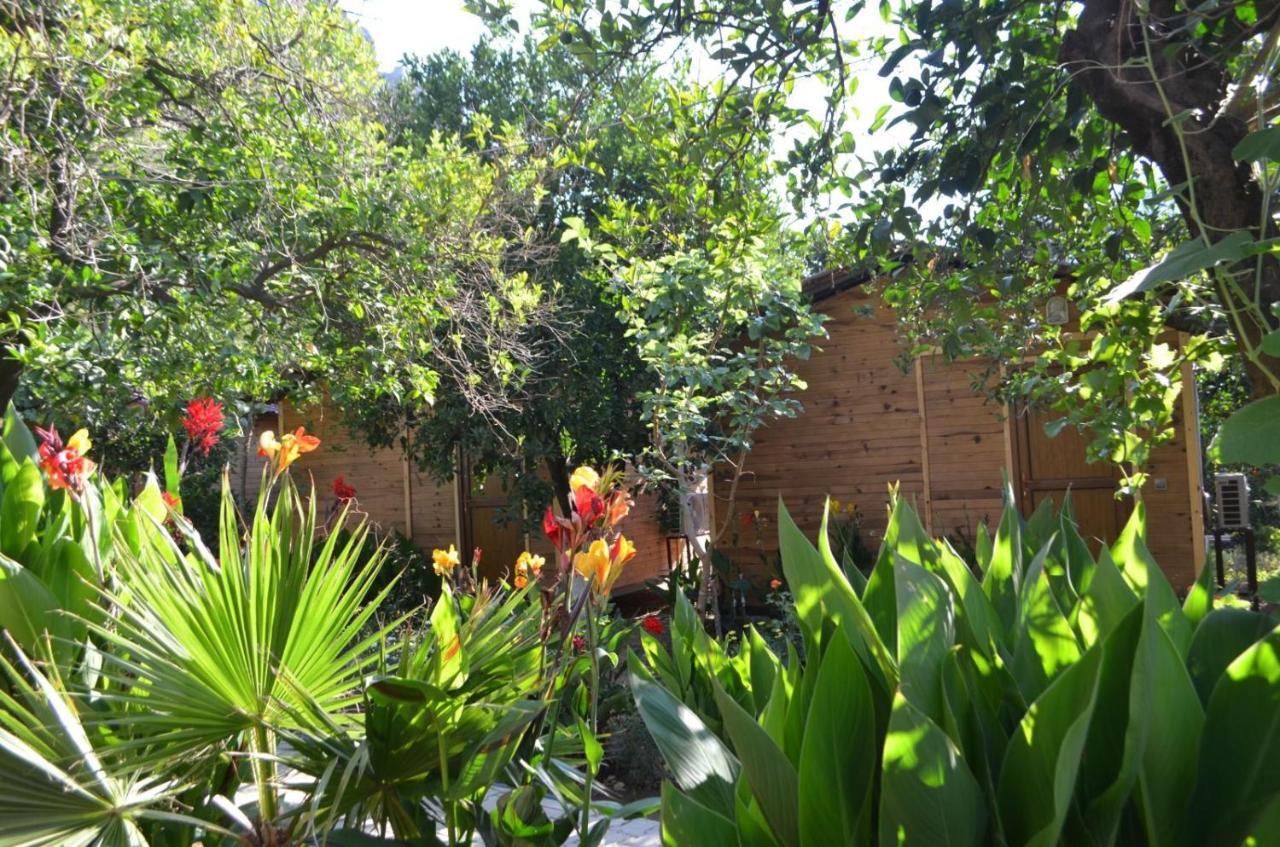 mercan pension Olympos Bagian luar foto
