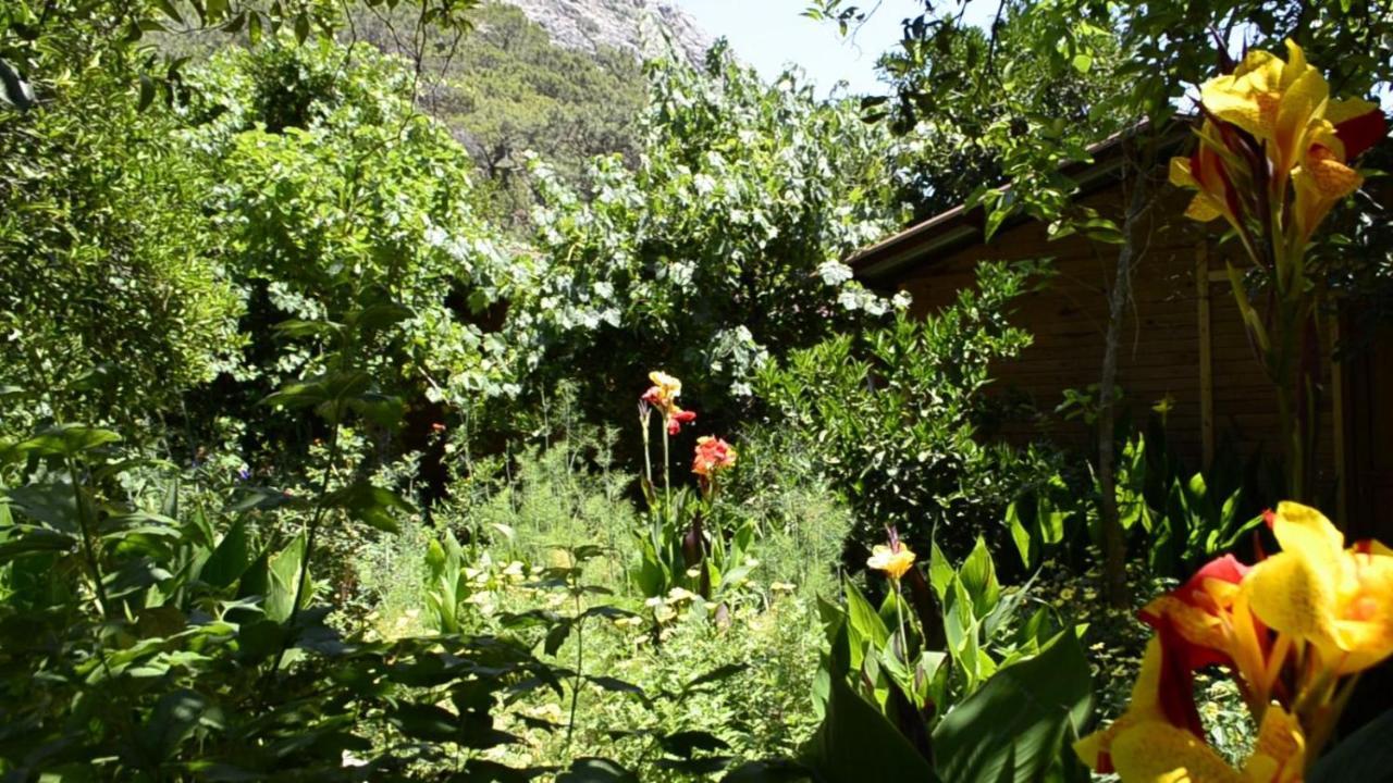 mercan pension Olympos Bagian luar foto