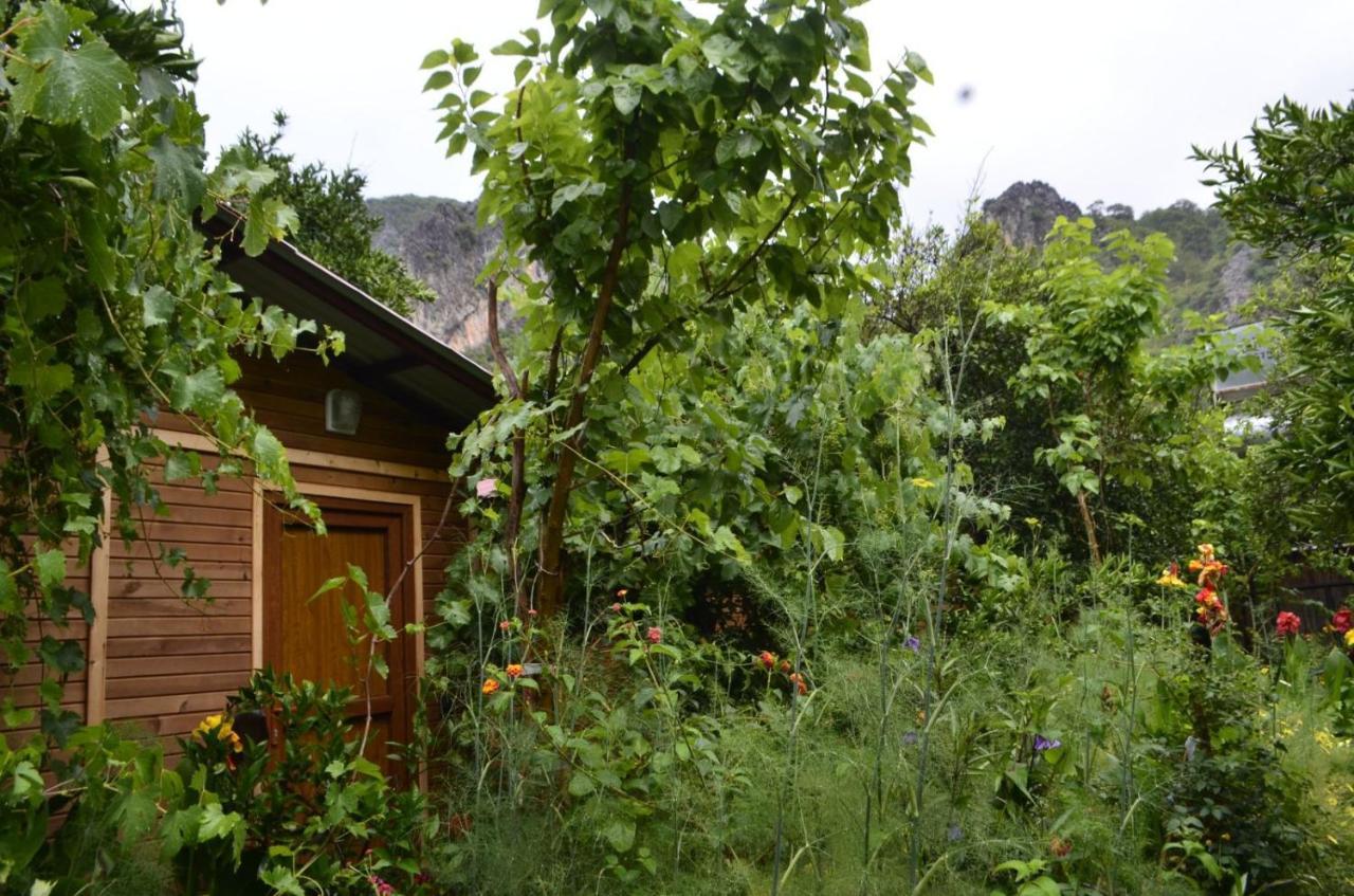 mercan pension Olympos Bagian luar foto