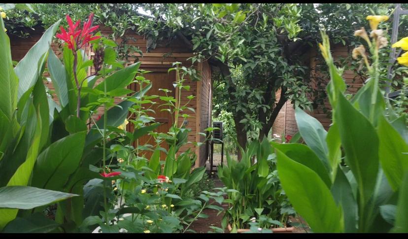 mercan pension Olympos Bagian luar foto